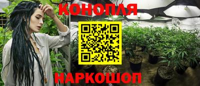 МДМА Гатчина