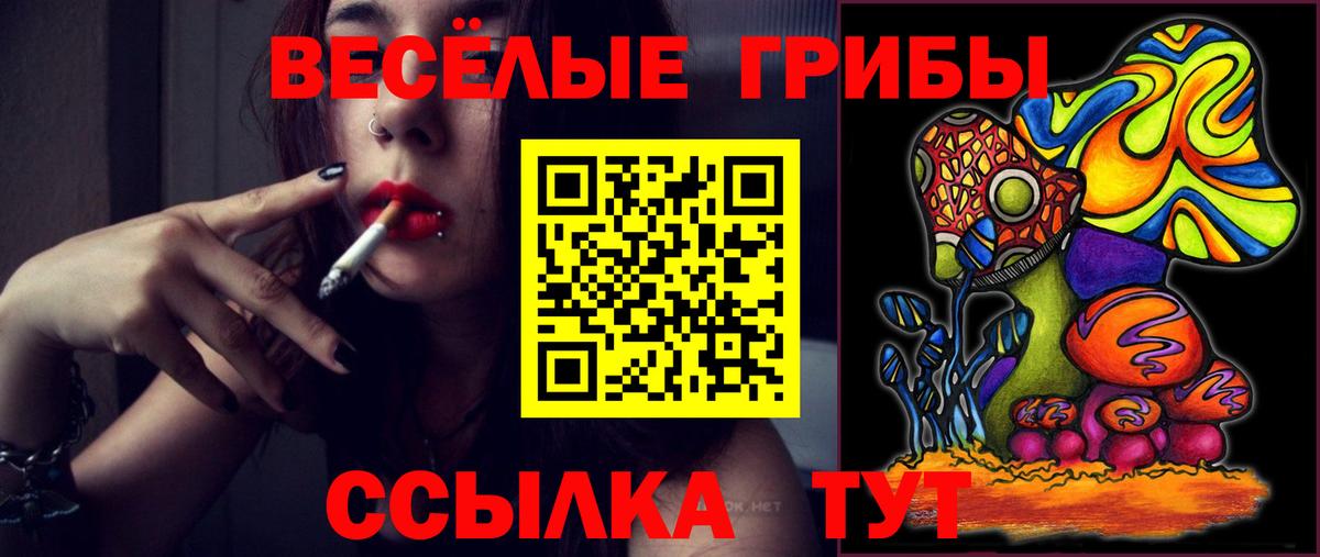 Псилоцибиновые грибы прущие грибы Санкт-Петербург