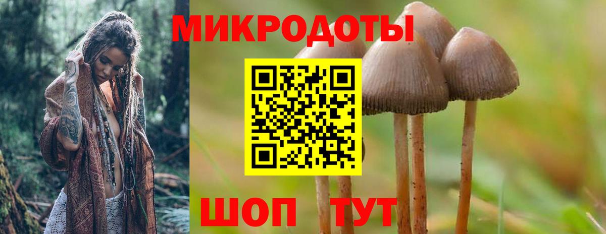 Санкт-Петербург  Псилоцибиновые грибы прущие грибы  Вход с VPN  Псилоцибиновые грибы мицелий 